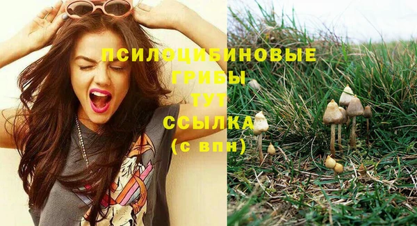 дурь Аркадак