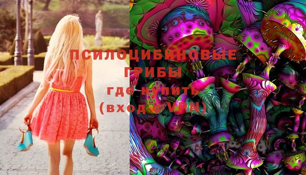 дурь Аркадак