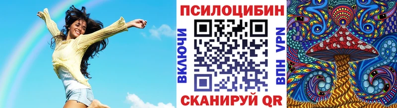 Галлюциногенные грибы Psilocybe где купить наркоту Усинск